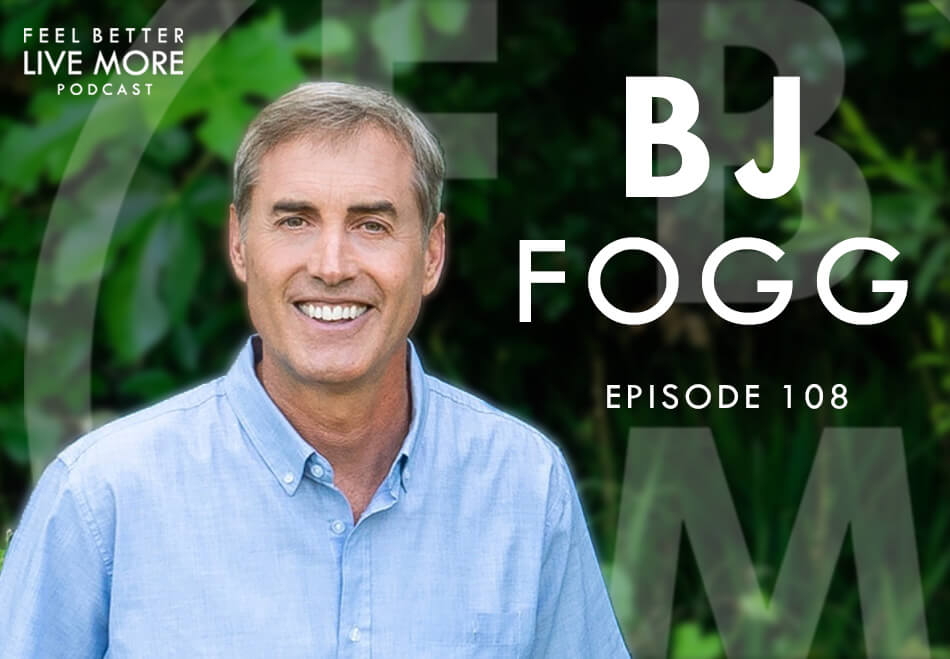 bj fogg habits bj fogg habits