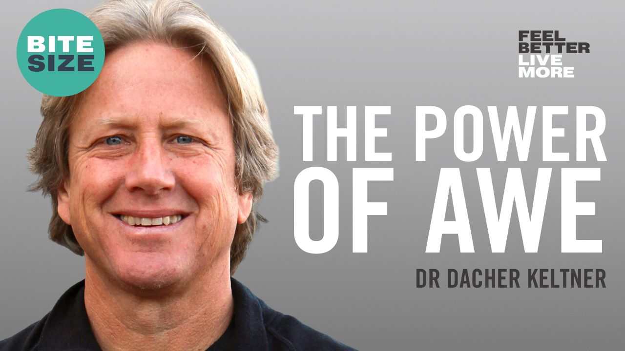 BITESIZE THUMBNAIL – DACHER KELTNER 2